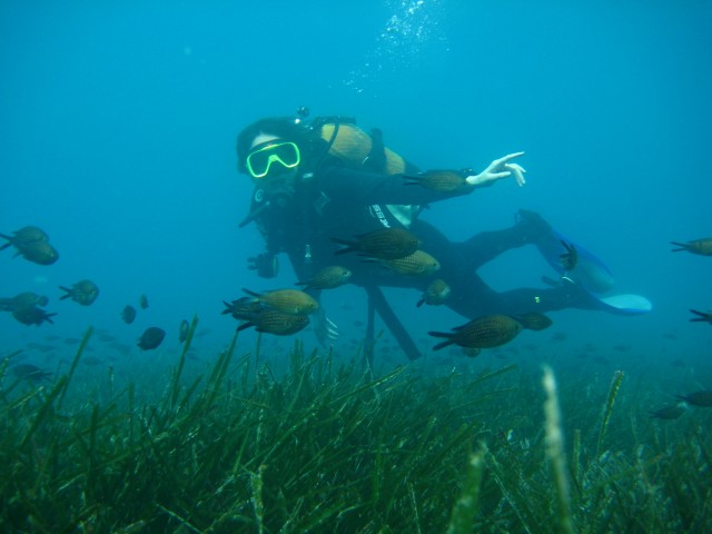 Kemer Sualtı Dalış